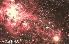 Preview of The Tarantula and the Supernova