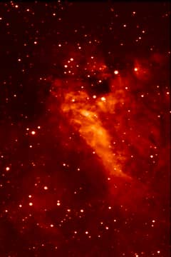 Preview of M17: The Majestic Swan Nebula