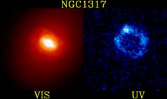 Preview of Starburst Ring in Galaxy NGC 1317