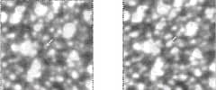 Preview of A MACHO View of Galactic Dark Matter
