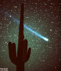 Preview of Comet Hyakutake and a Cactus