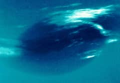 Preview of Neptune's Great Dark Spot: Gone But Not Forgotten