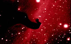 Preview of A Close-Up of the Horsehead Nebula