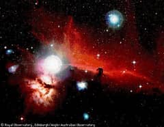 Preview of Orion's Horsehead Nebula