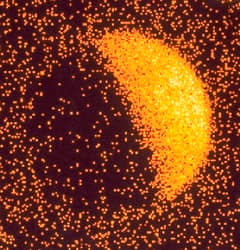 Preview of The X-Ray Moon