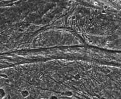 Preview of Mysterious Features on Ganymede