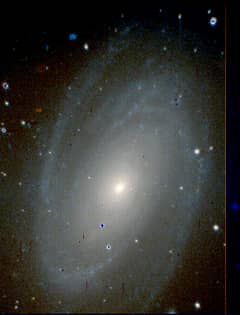 Preview of M81 in True Color