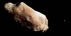 Preview of Ida and Dactyl: Asteroid and Moon