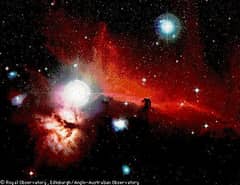 Preview of Orion's Horsehead Nebula