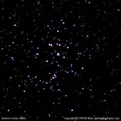 Preview of M44: A Beehive of Stars
