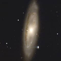 Preview of M65 Without Moth