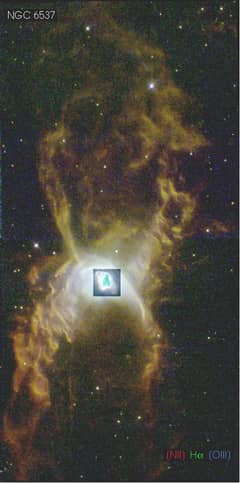Preview of The Red Spider Planetary Nebula