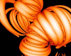 Preview of Solar Magnetic Bananas