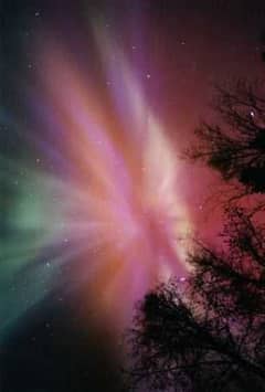 Preview of Aurora Above