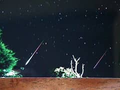 Preview of Bright Leonids