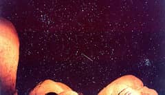 Preview of Leonids 1998: A Safe Meteor Storm