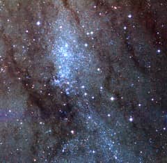 Preview of Stars of NGC 206
