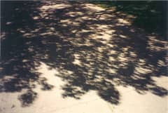 Preview of Eclipse In The Shade
