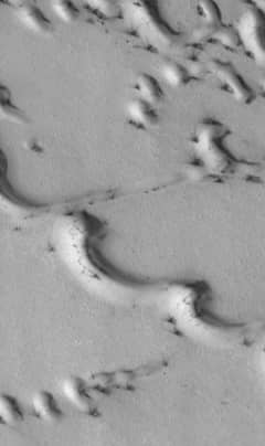 Preview of The Wind on Mars