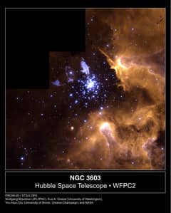 Preview of NGC 3603: From Beginning To End