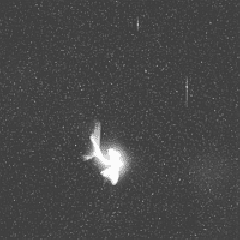 Preview of A Leonid Meteor Explodes