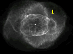 Preview of The Incredible Expanding Cat's Eye