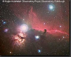 Preview of Orion's Horsehead Nebula