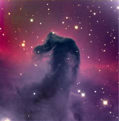 Preview of The Dark Horsehead Nebula
