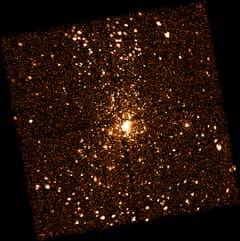 Preview of X-Ray Stars Of Orion