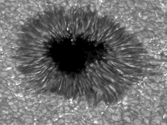 Preview of Sunspot Seething