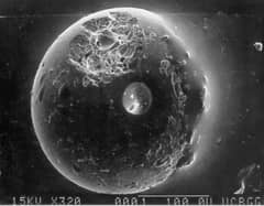 Preview of A Spherule from Outer Space