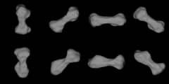 Preview of Dog-Bone Shaped Asteroid 216 Kleopatra