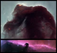 Preview of Horsehead Rides Again