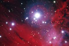 Preview of NGC 2264: Stars, Dust, and Gas