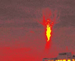 Preview of Burning Tree Sprite