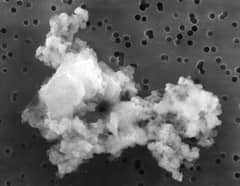 Preview of A Piece of Interplanetary Dust