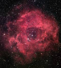 Preview of The Rosette Nebula