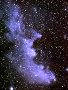 Preview of The Witch Head Nebula