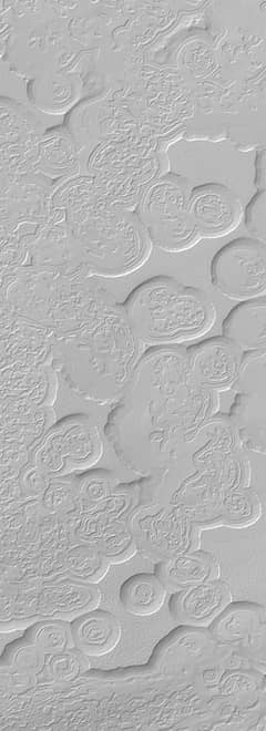 Preview of Swiss Cheese-Like Landscape on Mars