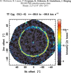 Preview of TT Cygni: Carbon Star