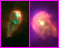 Preview of Protoplanetary Survivors in Orion