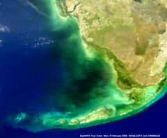Preview of Mysterious Black Water in Florida Bay