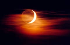 Preview of The Old Moon in the New Moon's Arms