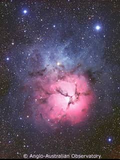 Preview of The Trifid Nebula from AAO