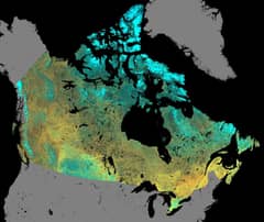 Preview of Earth's North Magnetic Pole