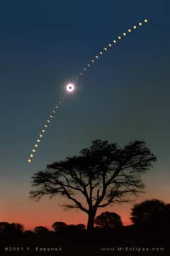 Preview of Eclipse Over Acacia