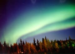 Preview of The Secret of the Black Aurora