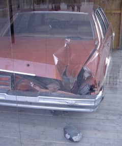 Preview of The Car, the Hole, and the Peekskill Meteorite