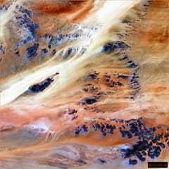 Preview of Terkezi Oasis in the Sahara Desert