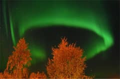 Preview of Aurora's Ring